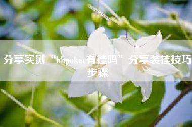 分享实测“hhpoker有挂吗	”分享装挂技巧步骤