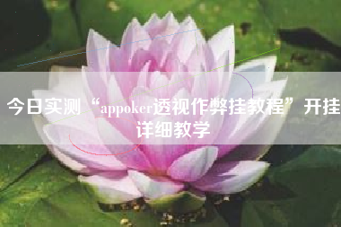 今日实测“appoker透视作弊挂教程	”开挂详细教学