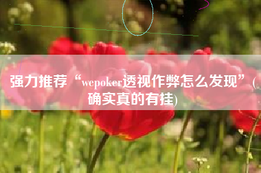 强力推荐“wepoker透视作弊怎么发现”(确实真的有挂)
