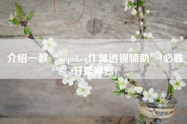 介绍一款“wepoker作弊透视辅助	”(必胜开挂神器)