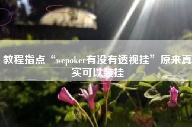 教程指点“wepoker有没有透视挂	”原来真实可以装挂