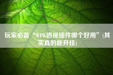 玩家必备“WPK透视插件哪个好用”(其实真的能开挂)