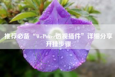 推荐必备“WePoker透视插件”详细分享开挂步骤