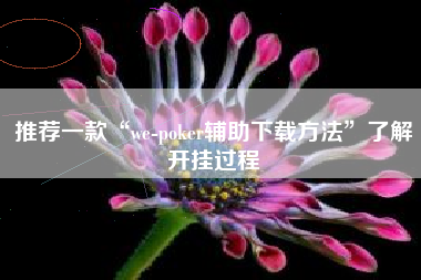 推荐一款“we-poker辅助下载方法”了解开挂过程