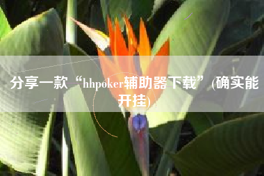 分享一款“hhpoker辅助器下载	”(确实能开挂)