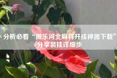 分析必看“微乐河北麻将开挂神器下载	”分享装挂详细步