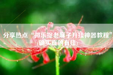 分享热点“微乐捉老麻子开挂神器教程”(确实真的有挂)