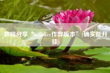 教程分享“wepoker作弊版本	”(确实能开挂)