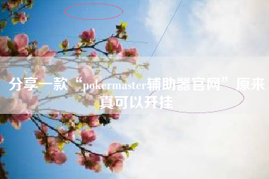 分享一款“pokermaster辅助器官网	”原来真可以开挂