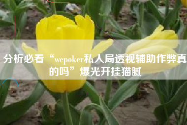 分析必看“wepoker私人局透视辅助作弊真的吗”爆光开挂猫腻