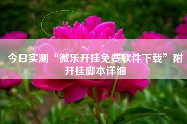 今日实测“微乐开挂免费软件下载	”附开挂脚本详细