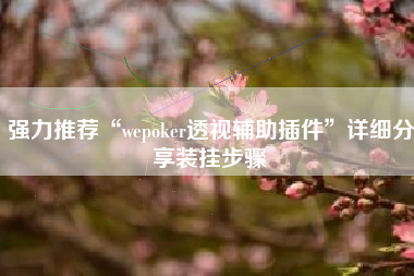 强力推荐“wepoker透视辅助插件”详细分享装挂步骤