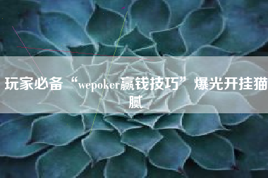 玩家必备“wepoker赢钱技巧	”爆光开挂猫腻