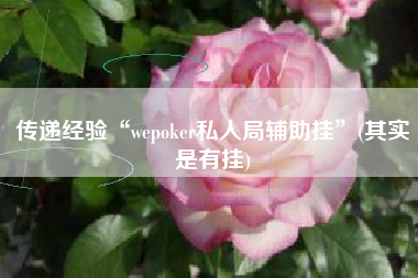 传递经验“wepoker私人局辅助挂”(其实是有挂)