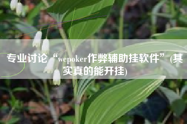 专业讨论“wepoker作弊辅助挂软件”(其实真的能开挂)