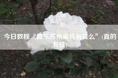 今日教程“微乐苏州麻将有挂么	”(真的有挂)