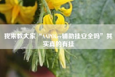 我来教大家“AAPOker辅助挂安全吗	”其实真的有挂