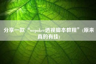 分享一款“wepoker透视脚本教程	”(原来真的有挂)
