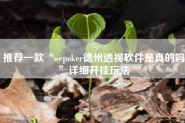 推荐一款“wepoker德州透视软件是真的吗”详细开挂玩法