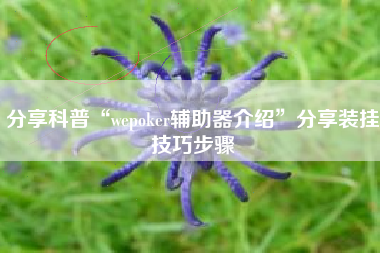 分享科普“wepoker辅助器介绍	”分享装挂技巧步骤