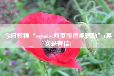 今日教程“wepoker网页版透视辅助”(其实是有挂)
