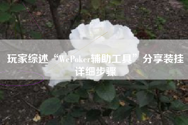 玩家综述“WePoker辅助工具	”分享装挂详细步骤