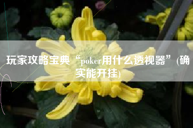 玩家攻略宝典“poker用什么透视器”(确实能开挂)