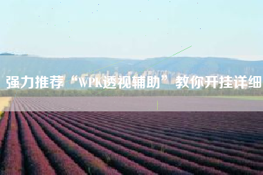 强力推荐“WPK透视辅助	”教你开挂详细