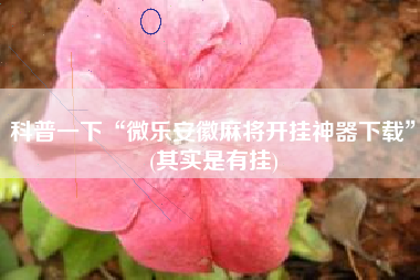 科普一下“微乐安徽麻将开挂神器下载	”(其实是有挂)