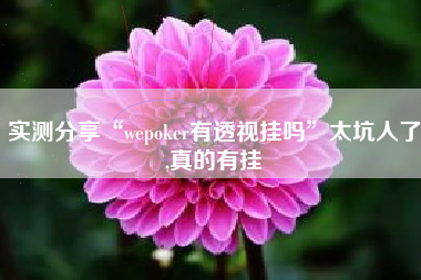 实测分享“wepoker有透视挂吗”太坑人了,真的有挂