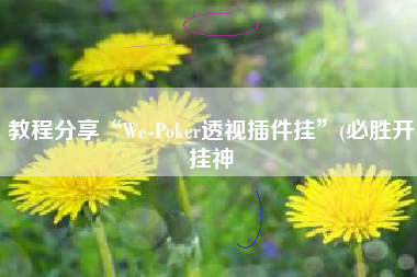 教程分享“We-Poker透视插件挂”(必胜开挂神