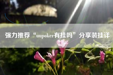 强力推荐“uupoker有挂吗”分享装挂详