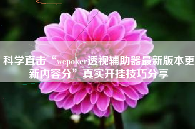 科学直击“wepoker透视辅助器最新版本更新内容分	”真实开挂技巧分享