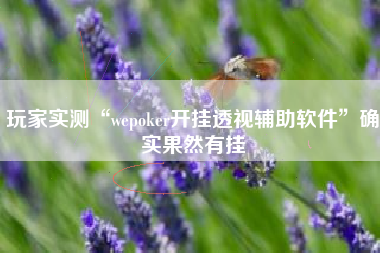 玩家实测“wepoker开挂透视辅助软件”确实果然有挂
