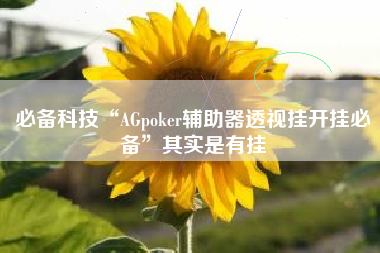 必备科技“AGpoker辅助器透视挂开挂必备”其实是有挂