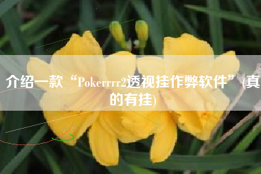 介绍一款“Pokerrrr2透视挂作弊软件”(真的有挂) 介绍一款“Pokerrrr2透视挂作弊软件”(真的有挂)