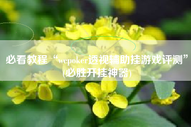 必看教程“wepoker透视辅助挂游戏评测	”(必胜开挂神器)