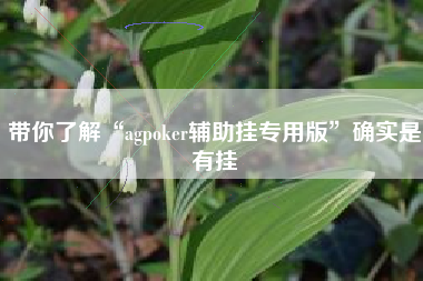 带你了解“agpoker辅助挂专用版”确实是有挂