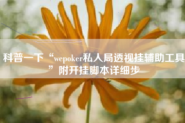 科普一下“wepoker私人局透视挂辅助工具”附开挂脚本详细步