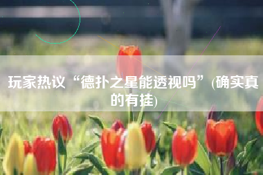 玩家热议“德扑之星能透视吗”(确实真的有挂)