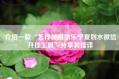 介绍一款“怎样使用微乐宁夏划水微信开挂工具	”分享装挂详