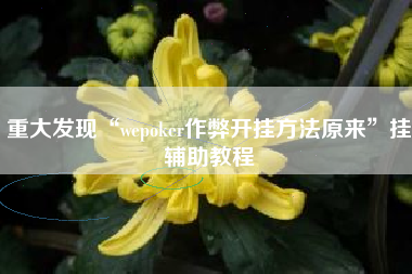 重大发现“wepoker作弊开挂方法原来	”挂辅助教程