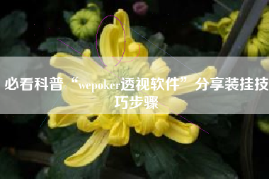 必看科普“wepoker透视软件”分享装挂技巧步骤