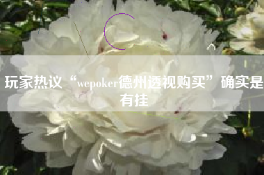 玩家热议“wepoker德州透视购买	”确实是有挂