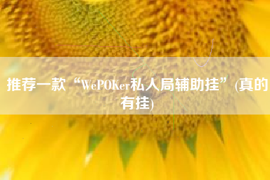 推荐一款“WePOKer私人局辅助挂”(真的有挂) 推荐一款“WePOKer私人局辅助挂”(真的有挂)