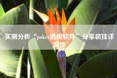 实测分析“poker透视软件”分享装挂详细步