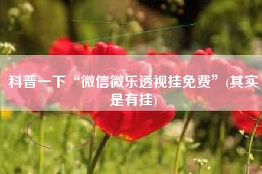 科普一下“微信微乐透视挂免费”(其实是有挂)