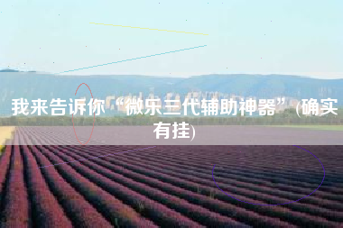 我来告诉你“微乐三代辅助神器”(确实有挂)