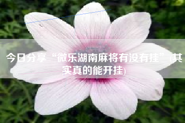 今日分享“微乐湖南麻将有没有挂”(其实真的能开挂)