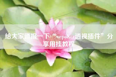 给大家通报一下“wepoKer透视插件”分享用挂教程